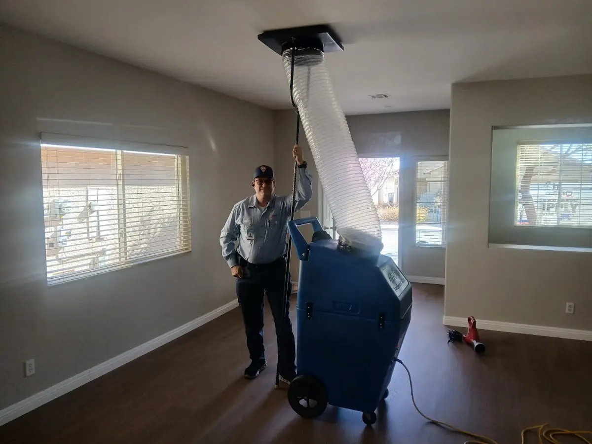 Professional Dryer Vent Cleaning work inside a Milo home